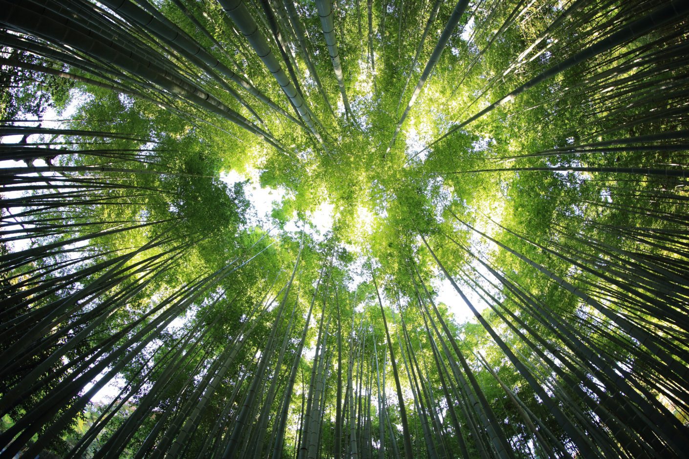 Image from lesushiman.ca